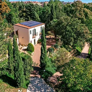 Dream House Casa vacanze